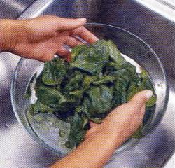 Как промыть шпинат