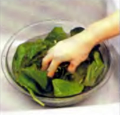 Шаг 1. Прополаскивание листьев в холодной воде